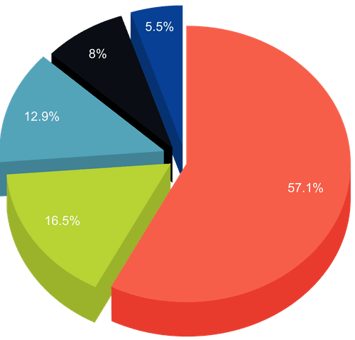Fogo tokenomics chart