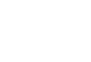 SNZ logo