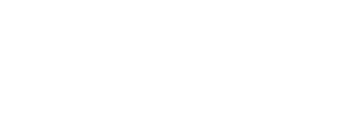 Tykhe Block Ventures logo