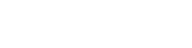 Volt Capital
