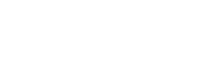 bitscale capital logo