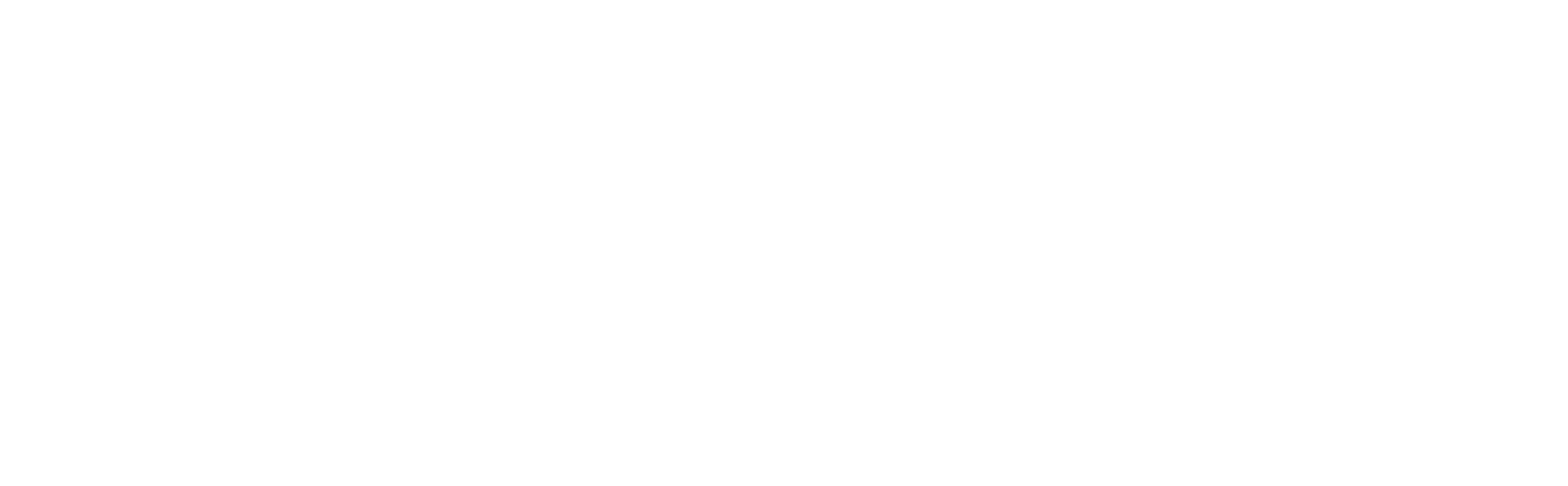 castrum capital logo