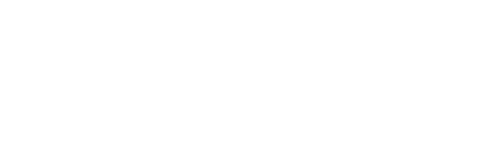 delphi digital logo