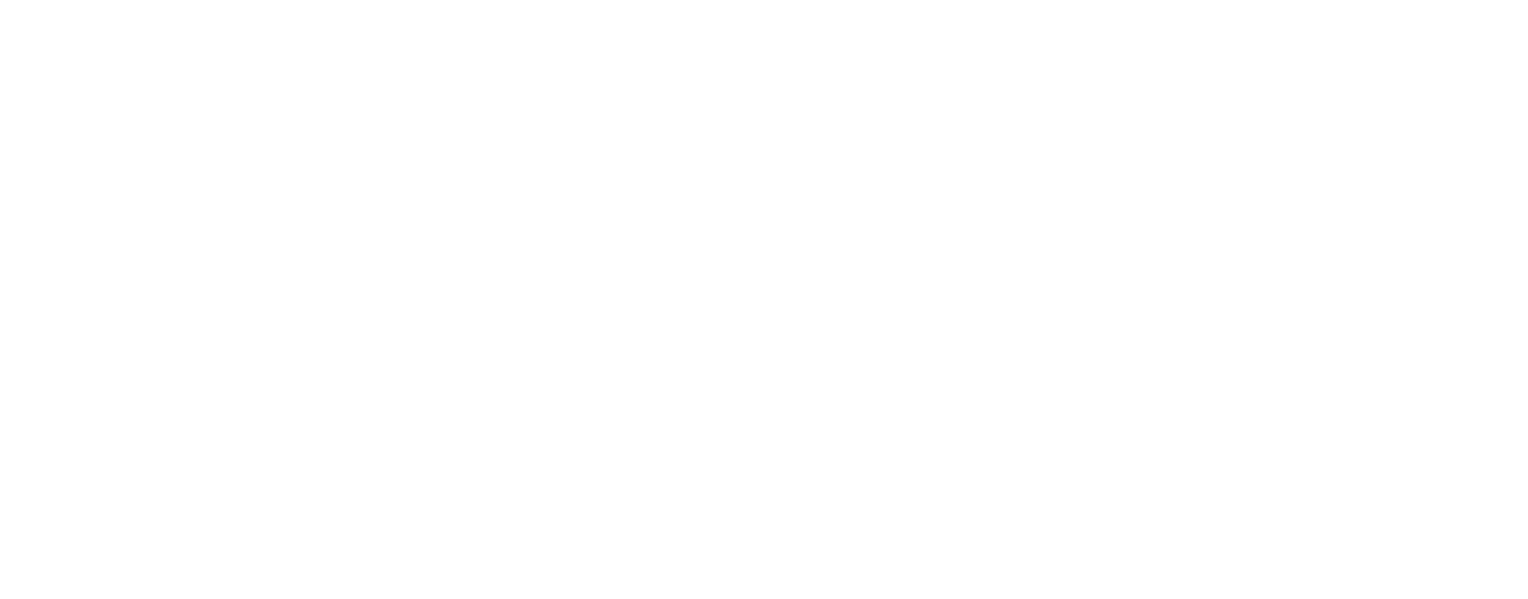 dfg logo