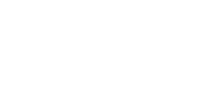 g 20 group logo