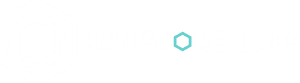 hailstone labs logo