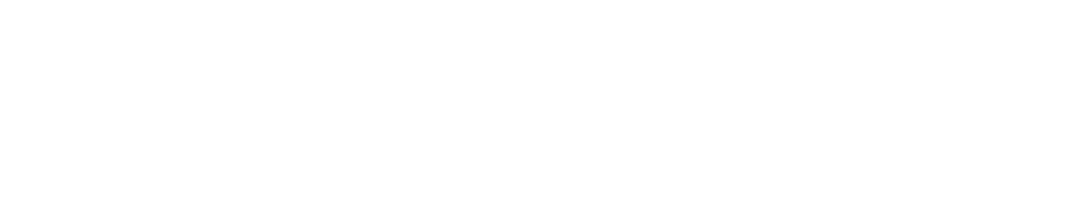 iobc capital logo