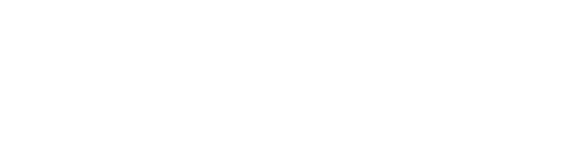 laser digital nomura group logo