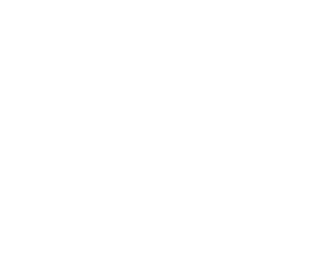 mayer venture