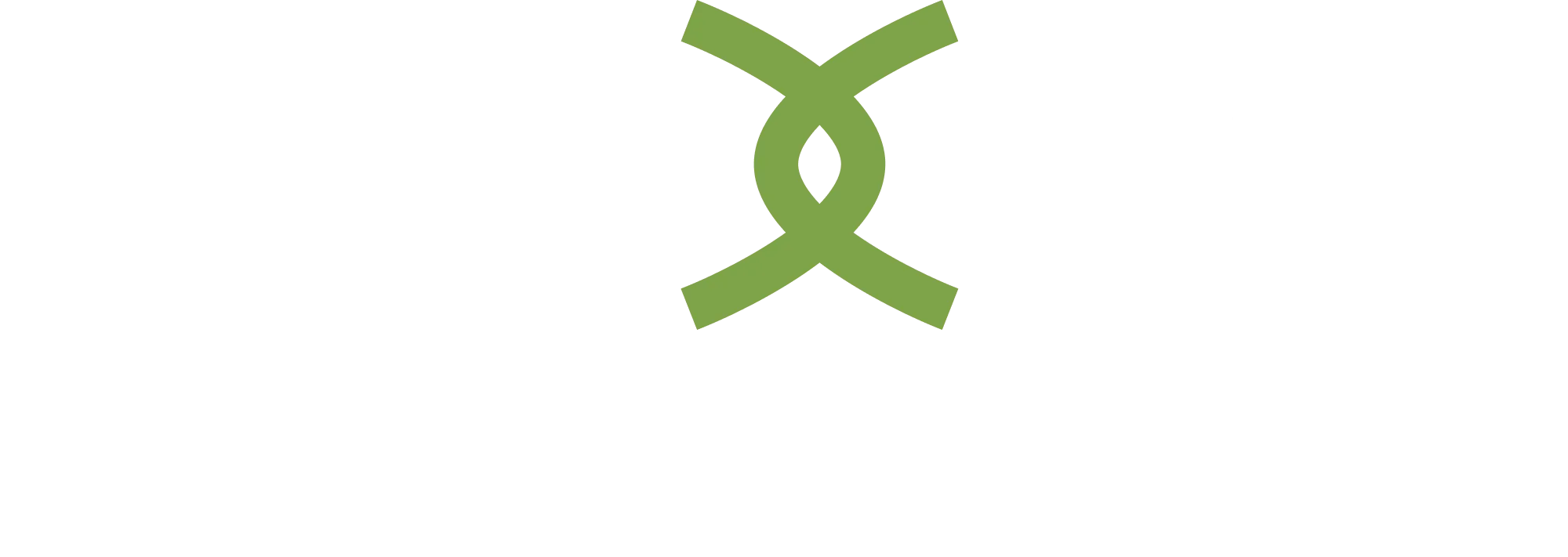nexus venture partner