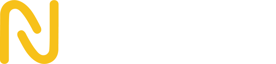 no limit holdings logo