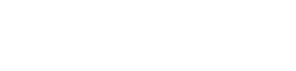 polymorphic capital logo