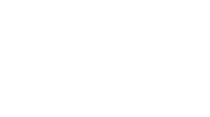 starbloom ventures logo
